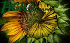 1agro.com.ua