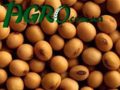1agro.com.ua