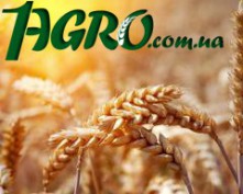 1agro.com.ua