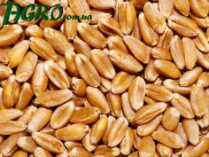 1agro.com.ua