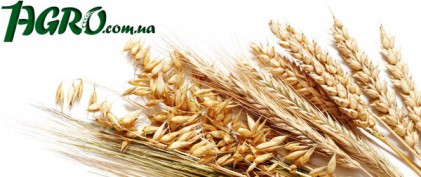 1agro.com.ua