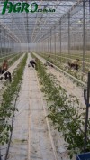 1agro.com.ua