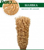 1agro.com.ua