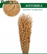 1agro.com.ua
