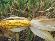1agro.com.ua