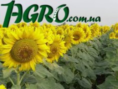 1agro.com.ua