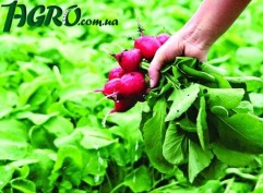 1agro.com.ua