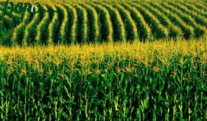1agro.com.ua