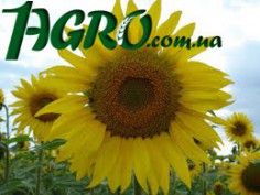 1agro.com.ua