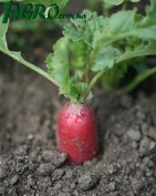1agro.com.ua