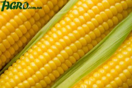 1agro.com.ua