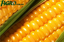 1agro.com.ua