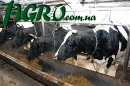 1agro.com.ua