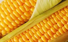 1agro.com.ua