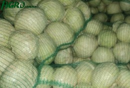 1agro.com.ua