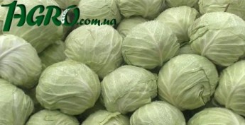 1agro.com.ua