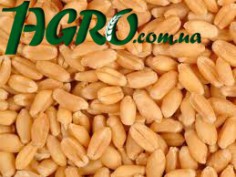 1agro.com.ua