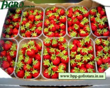 1agro.com.ua