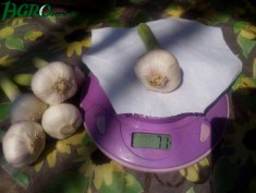 1agro.com.ua