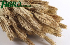 1agro.com.ua