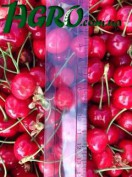 1agro.com.ua