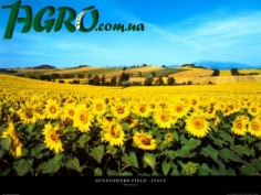 1agro.com.ua