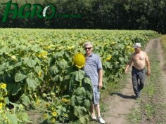 1agro.com.ua