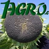 1agro.com.ua
