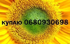 1agro.com.ua