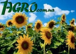 1agro.com.ua