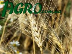 1agro.com.ua