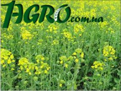 1agro.com.ua