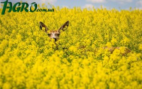 1agro.com.ua