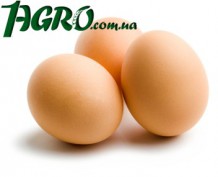 1agro.com.ua