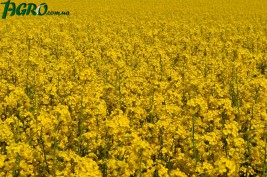1agro.com.ua