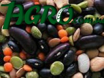 1agro.com.ua