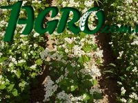 1agro.com.ua