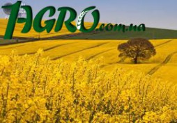 1agro.com.ua