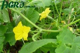 1agro.com.ua