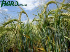 1agro.com.ua