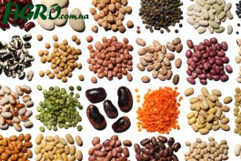 1agro.com.ua