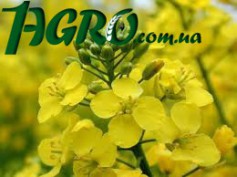 1agro.com.ua