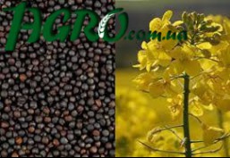 1agro.com.ua