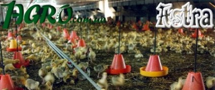 1agro.com.ua