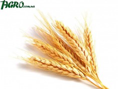 1agro.com.ua