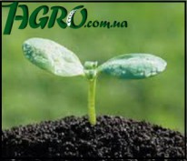 1agro.com.ua