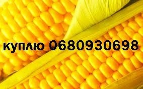 1agro.com.ua