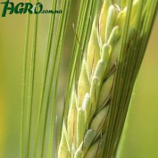 1agro.com.ua