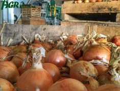 1agro.com.ua