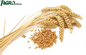 1agro.com.ua